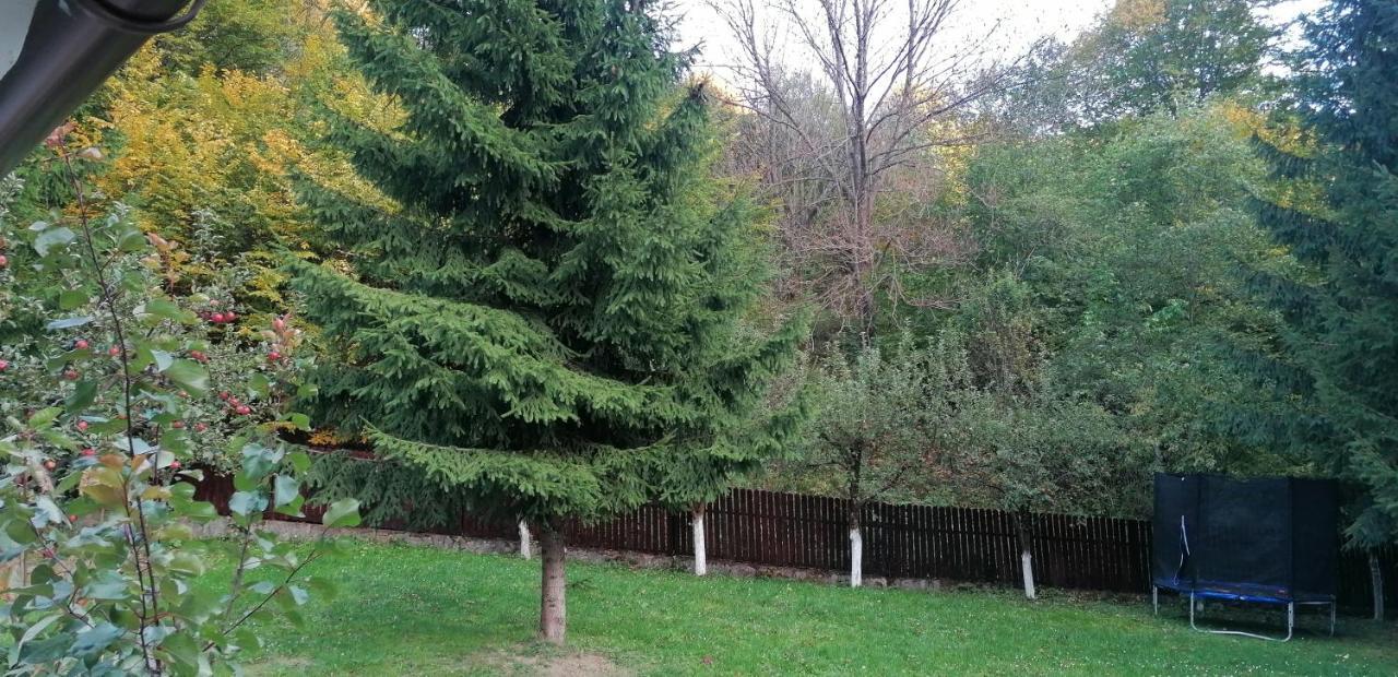 Hotel Casa Aris Lepsa Vrancea Zewnętrze zdjęcie