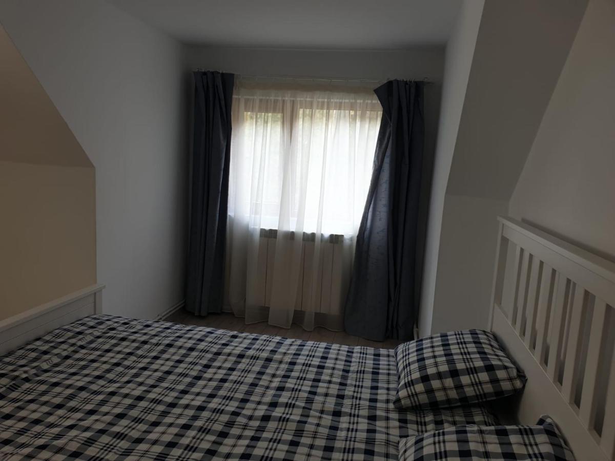 Hotel Casa Aris Lepsa Vrancea Zewnętrze zdjęcie