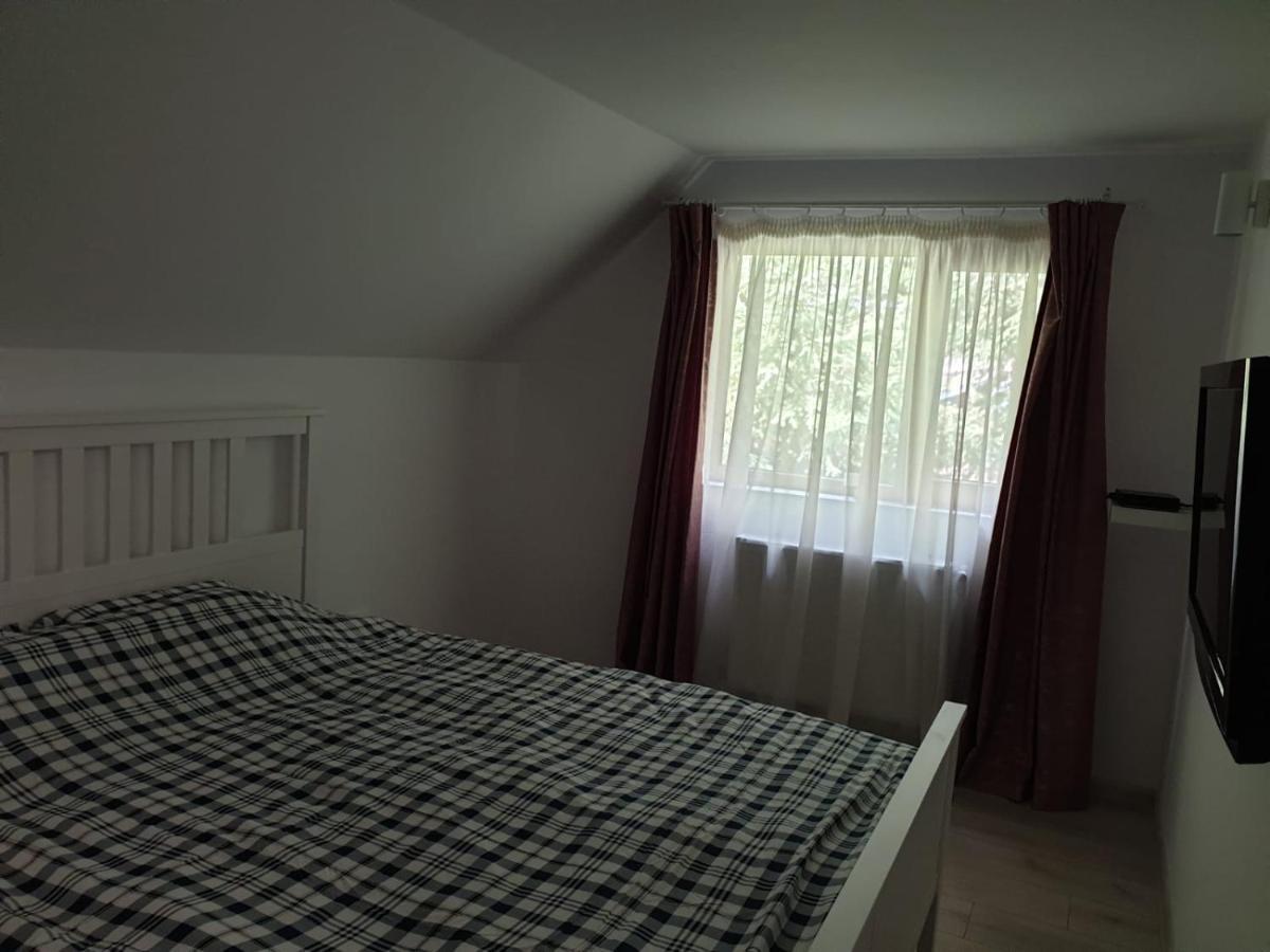 Hotel Casa Aris Lepsa Vrancea Zewnętrze zdjęcie