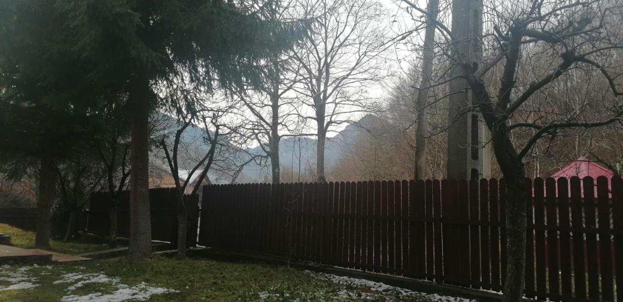 Hotel Casa Aris Lepsa Vrancea Zewnętrze zdjęcie