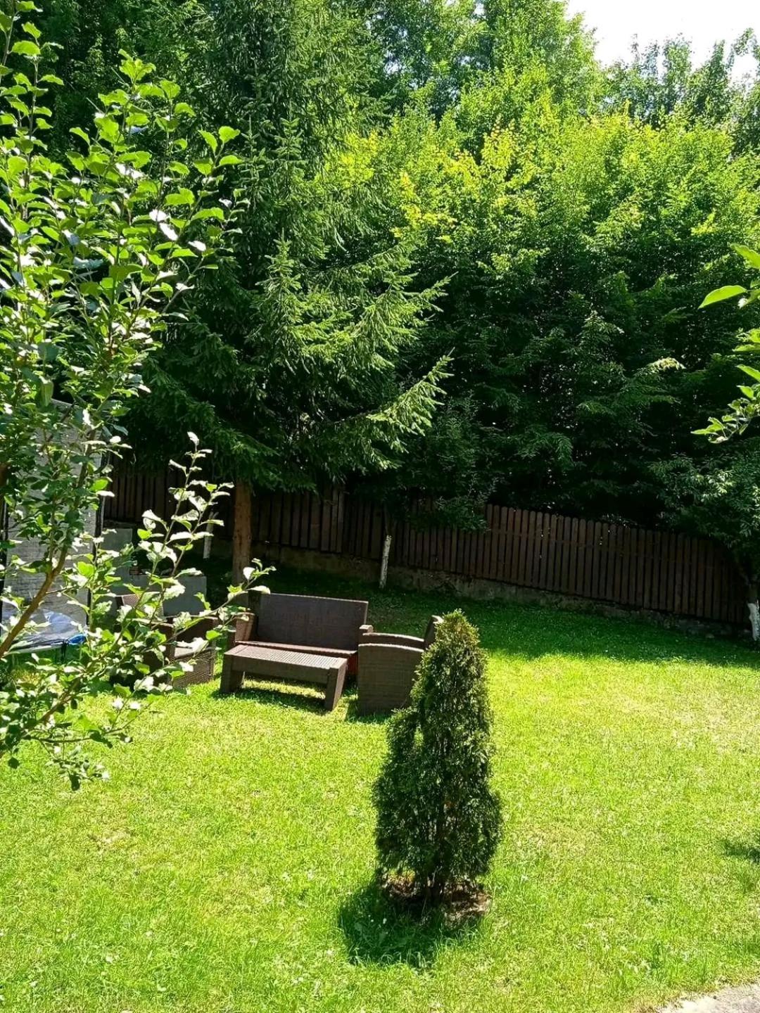 Hotel Casa Aris Lepsa Vrancea Zewnętrze zdjęcie